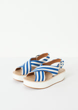 Malabar Sandal
