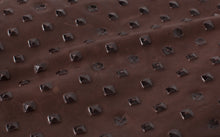 Roxanne Leather Clutch in Brown
